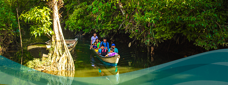Recorridos ecológicos